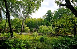 Smith Rd, MI 49868