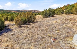 1242 S Kaishas Way, Eagar, AZ 85925