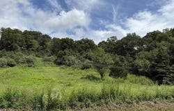 2595 Beech Fork Road (Parcel A), Lavalette, WV 25535