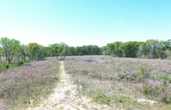 Pettey Road, Forest, MS 39074