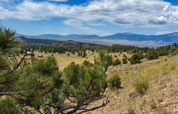 1054 Keepsake Lp, Westcliffe, CO 81252