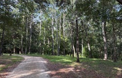 3016-E Hadley Ferry Road, Cairo, GA 39828
