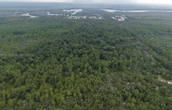 162 Carriage Pl, FL 32189
