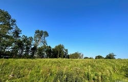 County Road 3440, Mountain View, MO 65548