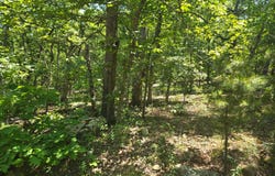 TBD SE 1055th Ave, Talihina, OK 74571