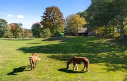 935 Dutch Neck Road, Waldoboro, ME 04572