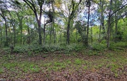 Kenyon Drive, Webster, FL 33597