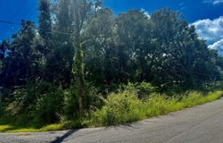 237 Mimosa Drive, Freeport, FL 32439