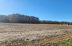 PEPPERBOX lot: #4, LAUREL, DE 19956