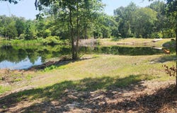 7485 CR 3913, Athens, TX 75752