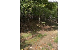 166 Wild Iris, Beech Mountain, NC 28604