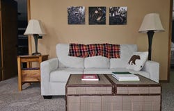 6865 Pinebrook Drive, Bellaire, MI 49615