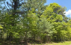 XXXXX Eagle Drive, Danbury, WI 54830