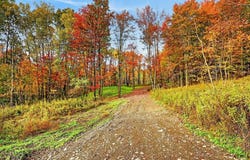 12.1 ac Mercur Hill Rd, Wyalusing, PA 18848