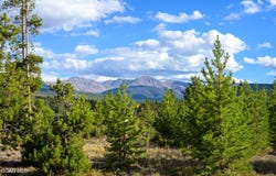 135 GCR 8030, Fraser, CO 80442