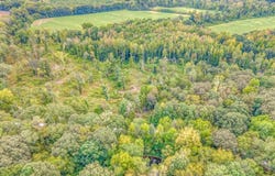 HILLVILLE Loop, Whiteville, TN 38075