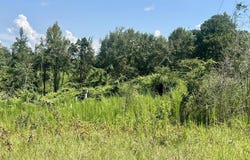 Co Rd 8, Vossburg, MS 39366