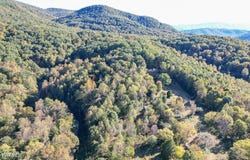 Taproot Way, Newport, TN 37821