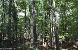 9 Star Landing Road, Nesbit, MS 38651