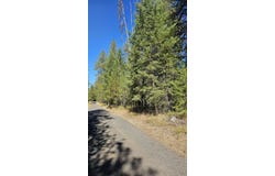 385X AGAR Rd, LOON LAKE, WA 99148