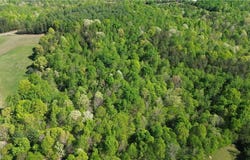 Tom Mix Road, Westfield, NC 27053