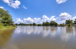 1295 Benbow Drive, Summerton, SC 29148