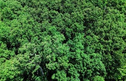 Apache Lane lot: 106, Rocky Mount, MO 65072