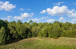 County Road 2195, Quitman, TX 75783