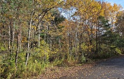 Birch Lane, Clayton, NY 13624