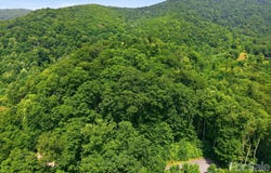 Triple Creek Drive, Clyde, NC 28721