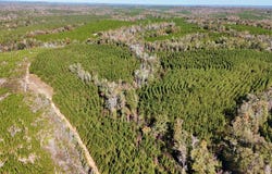 584 HWY 82, EUFAULA, AL 36027