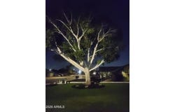 1412 N AUGUSTINE, Mesa, AZ 85207