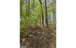 Windfield Circle, Blue Ridge, GA 30513