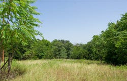 2492 FM 922, Forestburg, TX 76239