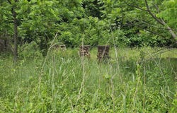State Highway K, Everton, MO 65646