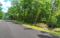 Deneaux Road, Rowesville, SC 29133