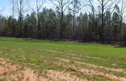 5 Graysport Crossing Road lot: 5, Gore Springs, MS 38929