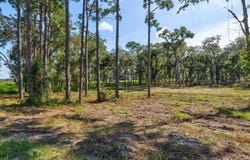 15504 LENWAY Road, SPRING HILL, FL 34610