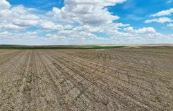 County Road 135, Sidney, NE 69162