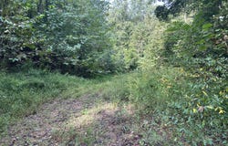 9999 Little Leatherwood Creek Road, Cornettsville, KY 41731