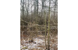 Breezewood Lane lot: 134, Orwell, OH 44076