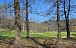 66 The Cliffs Parkway, Landrum, SC 29356