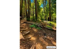 11837 Clear Creek RD, BROOKDALE, CA 95007
