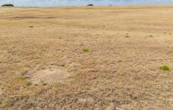 TBD Tract 2 County Road 3565, China Spring, TX 76633