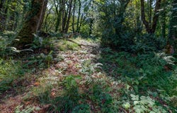 4899 ELVA Ln, Eugene, OR 97405