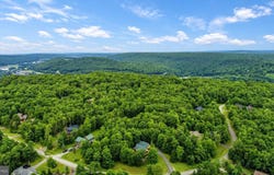 84 MOUNTAINTOP Road, MC HENRY, MD 21541