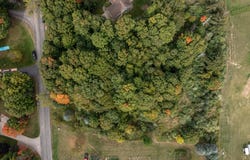 Hill N Dale lot: #7, Hart, MI 49420