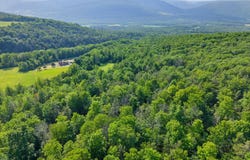 L6 Guinea Road, Middleburgh, NY 12122