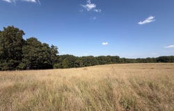 HWY FF, Gainesville, MO 65655