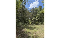 Asseff Road, Mansfield, LA 71052